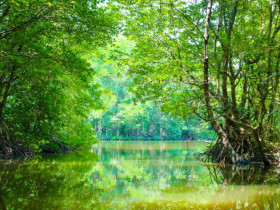  - Cần Giờ tăng trưởng du lịch đến đâu thì chạm ngưỡng bảo tồn?