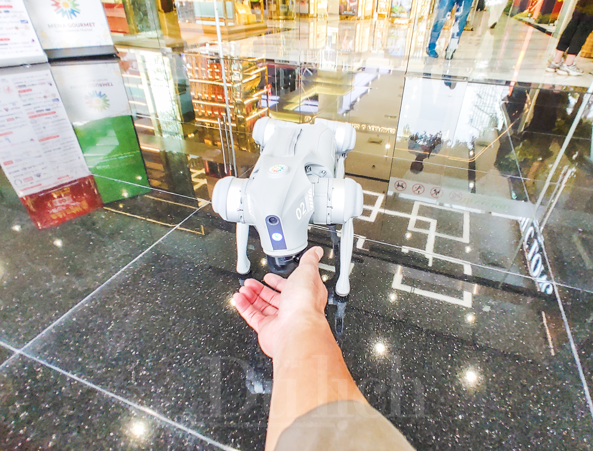 Linh khuyển công nghệ ‘xông đất’ Đường hoa xuân mở cửa sớm nhất TP.HCM - 15