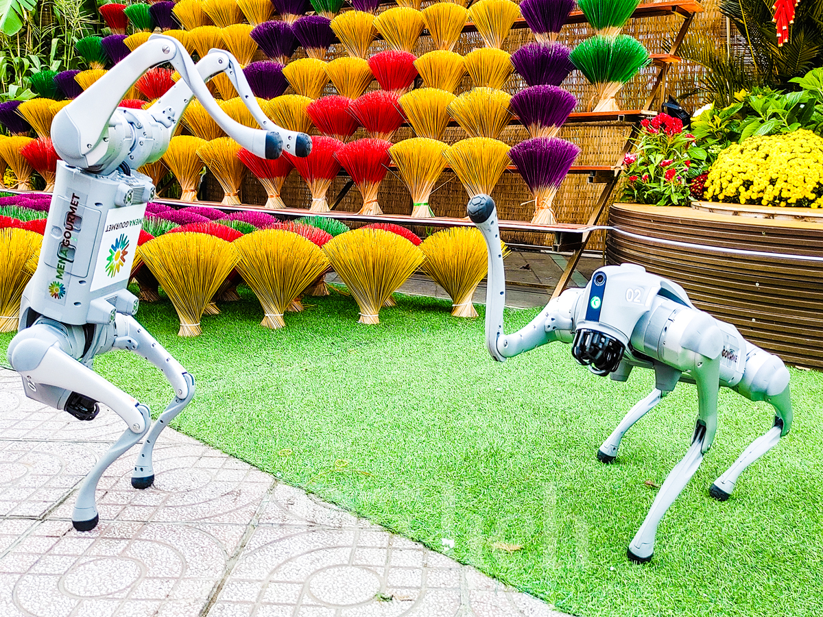 Linh khuyển công nghệ ‘xông đất’ Đường hoa xuân mở cửa sớm nhất TP.HCM - 3