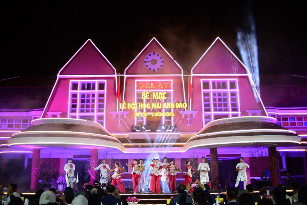 Lễ hội khép lại, mai anh đào vẫn rực rỡ làm say đắm du khách - 1