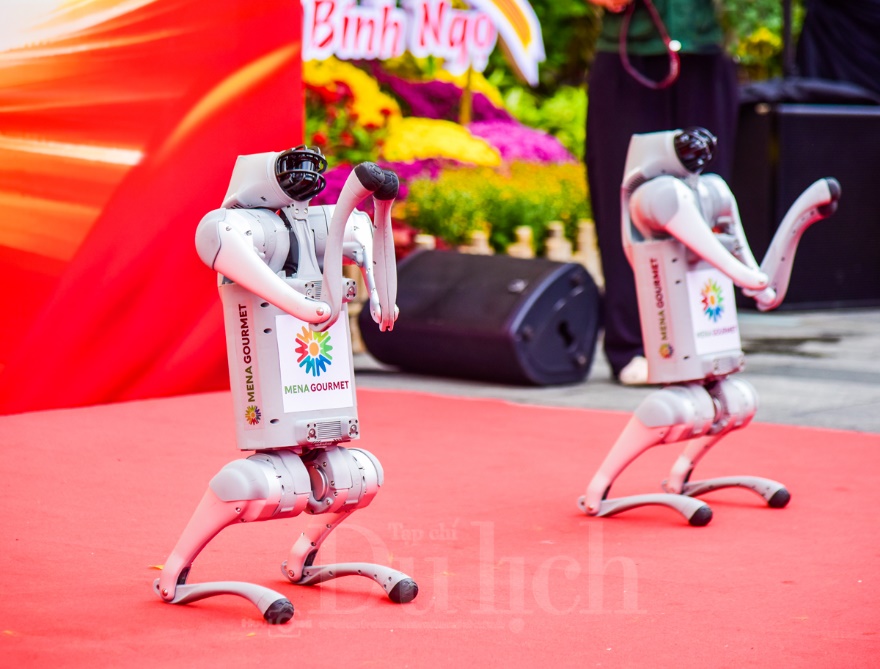 Linh khuyển công nghệ ‘xông đất’ Đường hoa xuân mở cửa sớm nhất TP.HCM - 13