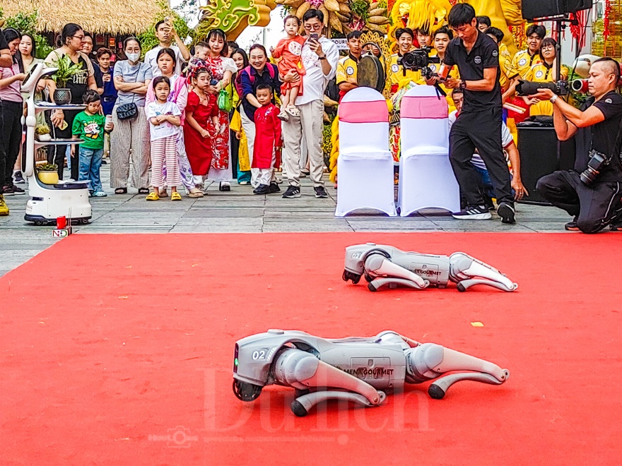 Linh khuyển công nghệ ‘xông đất’ Đường hoa xuân mở cửa sớm nhất TP.HCM - 14