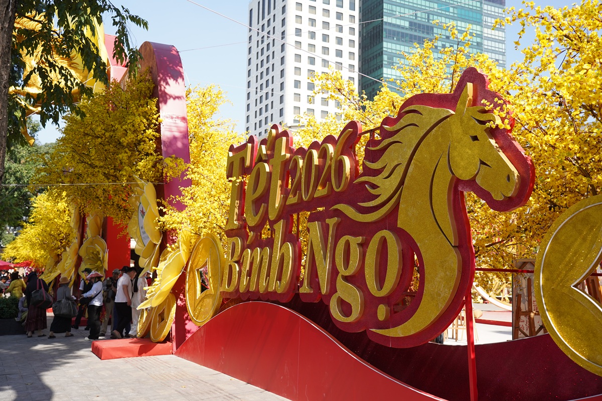 Mai vàng, vó ngựa và hồn Tết xưa giữa lòng TP.HCM - 7