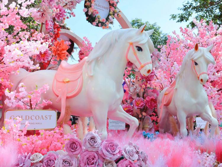 Du khách thích thú check-in với bạch mã tại Nha Trang