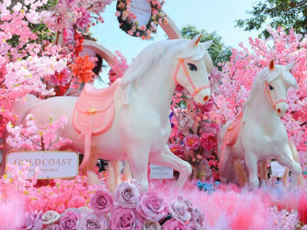  - Du khách thích thú check-in với bạch mã tại Nha Trang