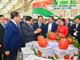  - Đôn đốc triển khai nhiệm vụ phục vụ nhân dân đón Tết Nguyên đán Bính Ngọ 2026