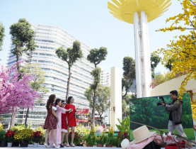  - Cầu thang Hồ Con Rùa được sơn lại, có thêm tiểu cảnh hoa mai hoa đào