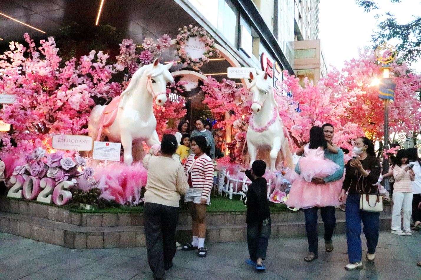 Du khách thích thú check-in với bạch mã tại Nha Trang - 4
