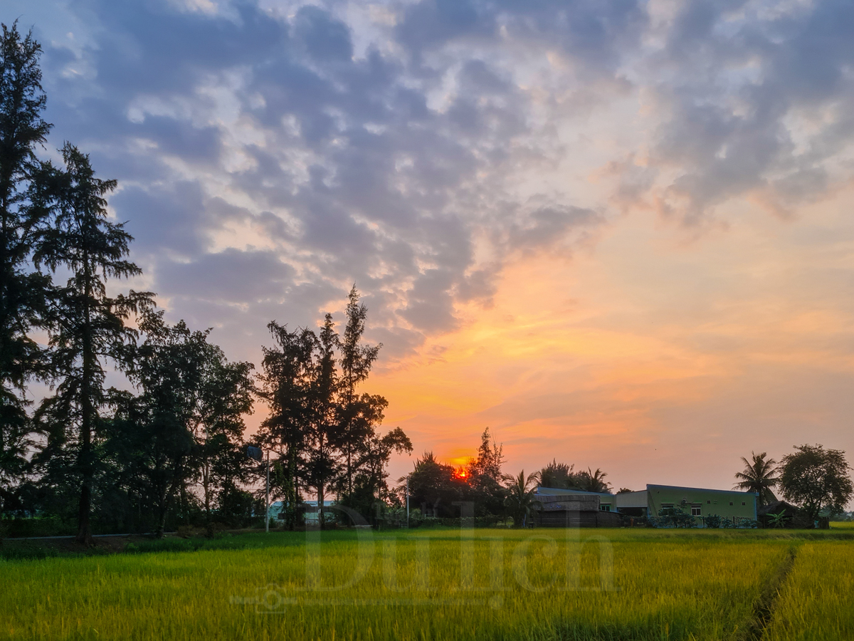 Ngày thành lập Đảng: Tìm về ‘vành đai lửa’ Di tích Láng Le – Bàu Cò lịch sử - 12