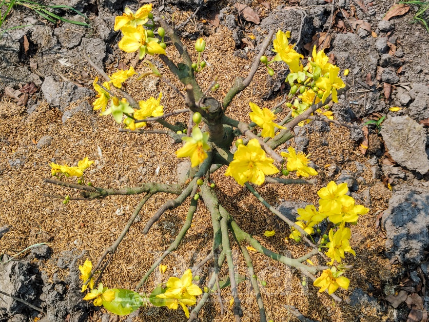 Ngày thành lập Đảng: Tìm về ‘vành đai lửa’ Di tích Láng Le – Bàu Cò lịch sử - 9
