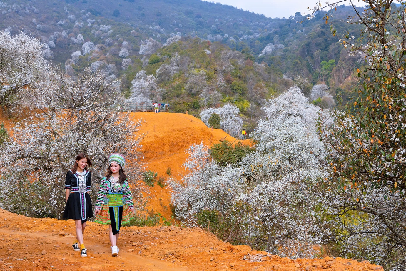 Quảng bá hình ảnh Việt Nam ra quốc tế: Xây dựng bộ nhận diện thương hiệu quốc gia - 3