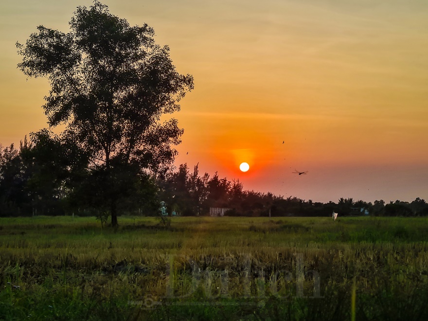 Ngày thành lập Đảng: Tìm về ‘vành đai lửa’ Di tích Láng Le – Bàu Cò lịch sử - 15