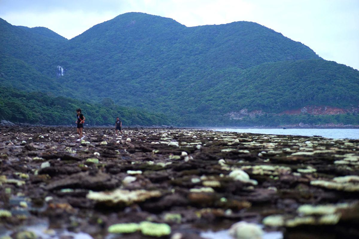 Côn Đảo là điểm hẹn trăng mật hàng đầu thế giới - 1