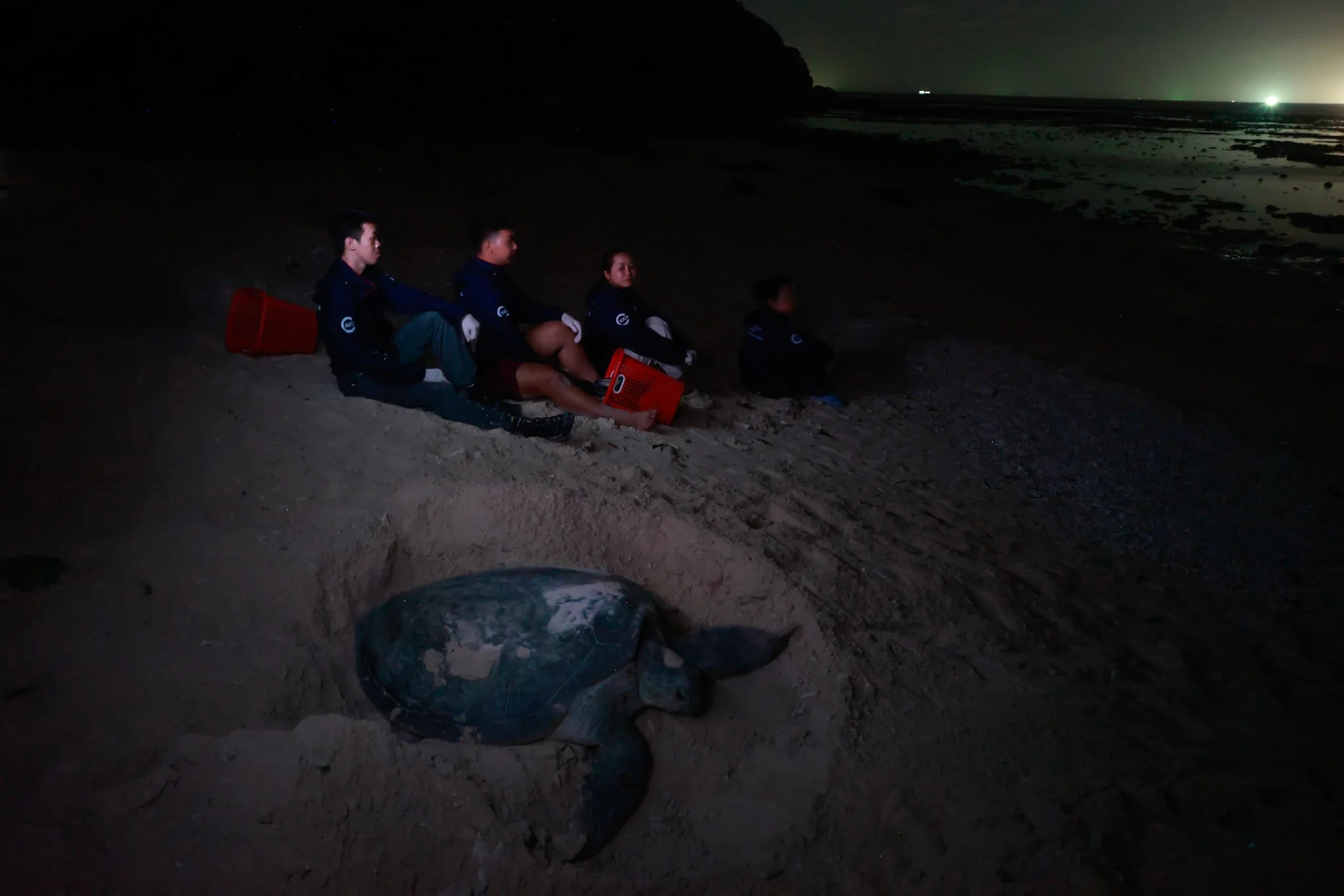 Côn Đảo là điểm hẹn trăng mật hàng đầu thế giới - 4