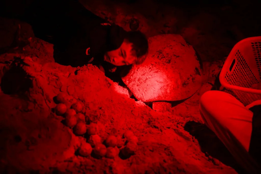 Côn Đảo là điểm hẹn trăng mật hàng đầu thế giới - 6