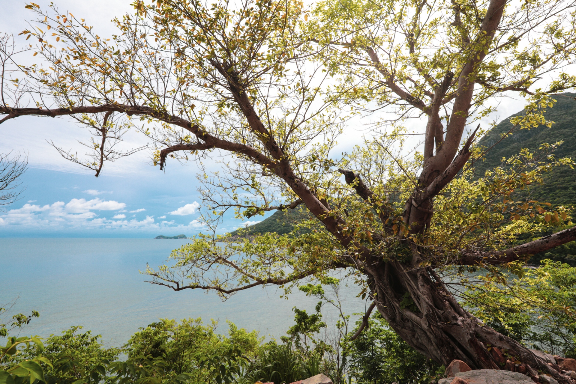 Côn Đảo là điểm hẹn trăng mật hàng đầu thế giới - 7