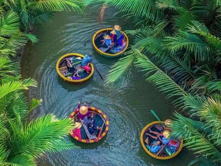 Rừng dừa Bảy Mẫu: Hành trình từ “lá phổi xanh” đến biểu tượng du lịch có trách nhiệm