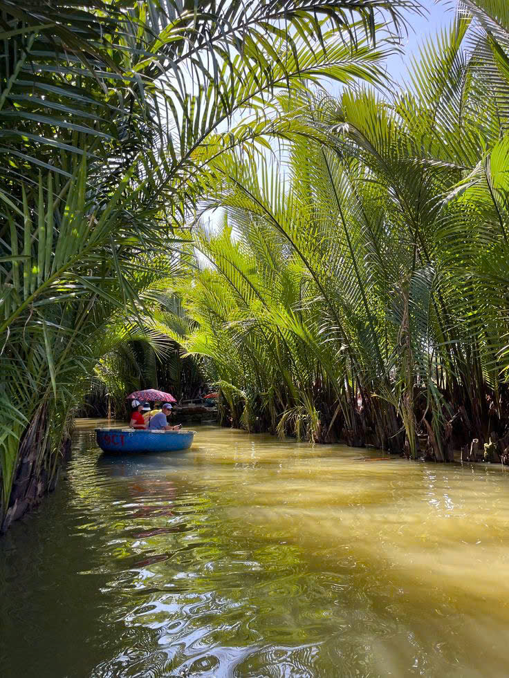 Rừng dừa Bảy Mẫu: Hành trình từ “lá phổi xanh” đến biểu tượng du lịch có trách nhiệm - 7
