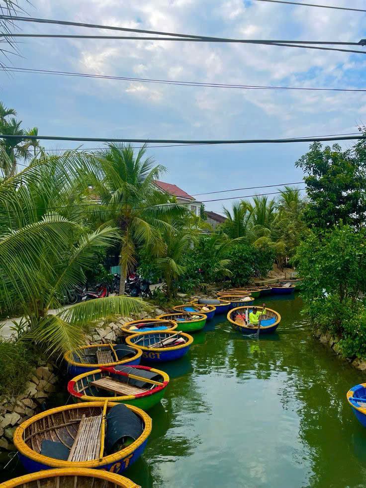 Rừng dừa Bảy Mẫu: Hành trình từ “lá phổi xanh” đến biểu tượng du lịch có trách nhiệm - 6