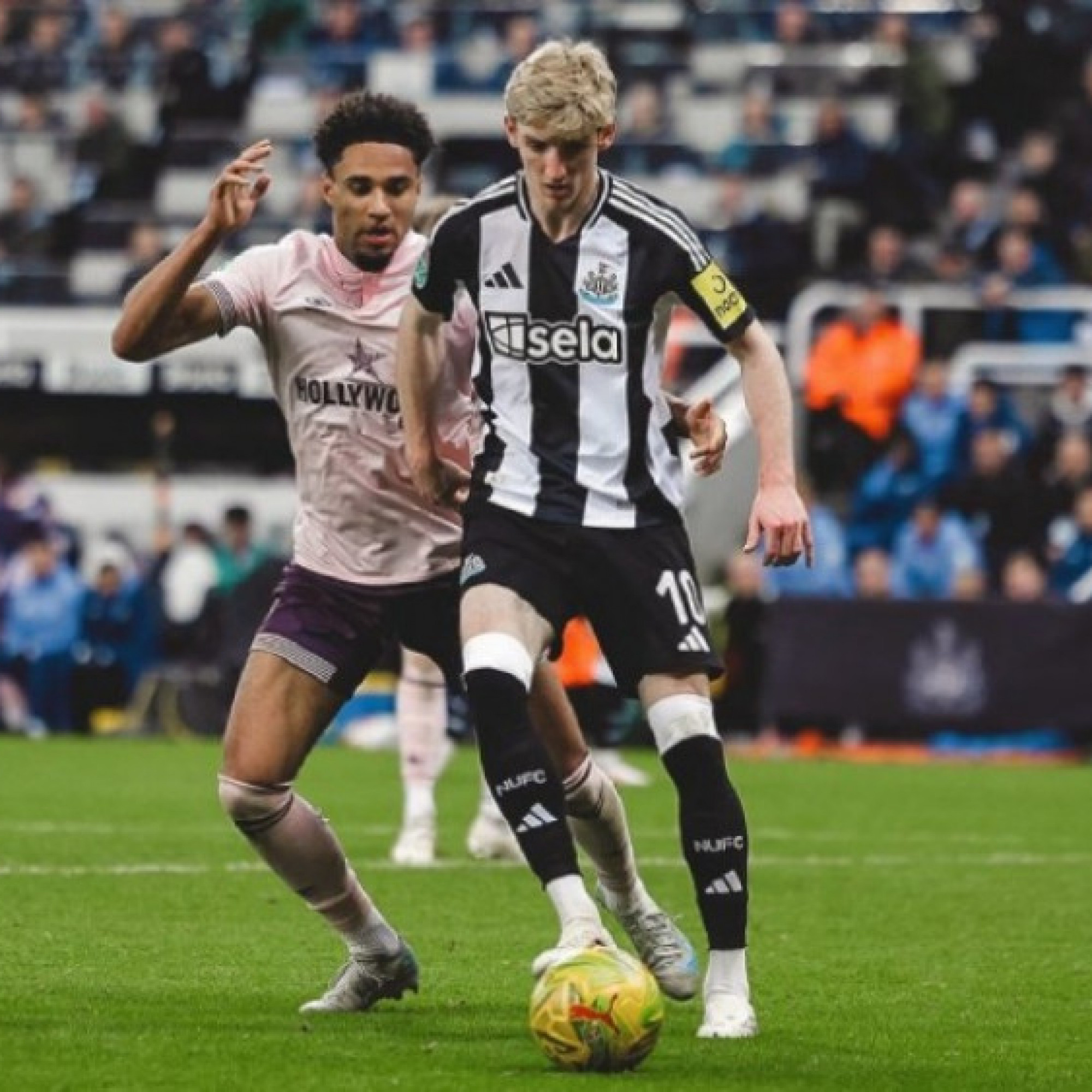  - Trực tiếp bóng đá Newcastle - Brentford: Chủ nhà phải vượt khó (Ngoại hạng Anh)