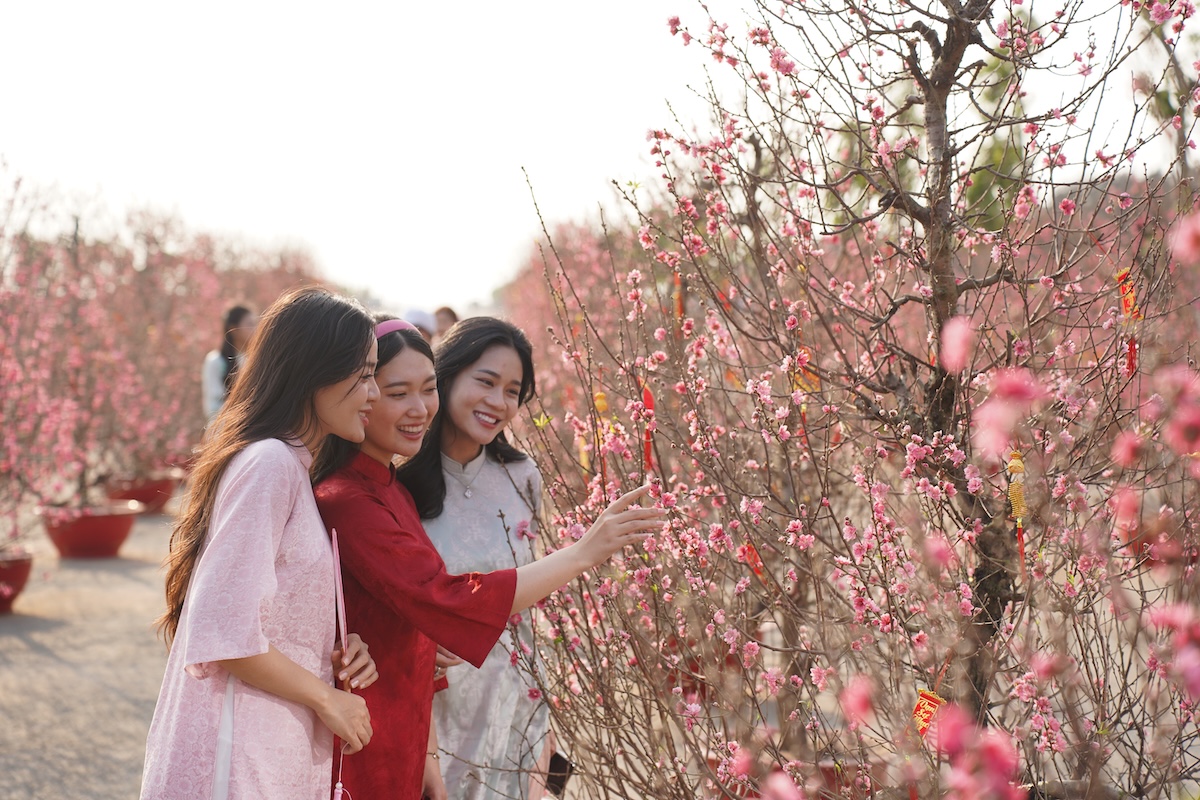 gioi tre do xo den can gio 'check - in' voi kinh khi cau, vuon hoa dao no hong ruc - 11