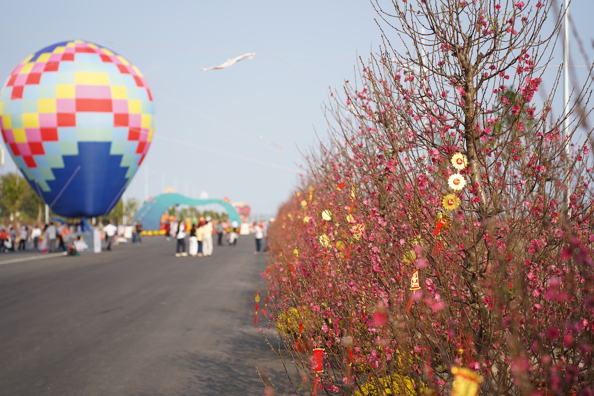 gioi tre do xo den can gio 'check - in' voi kinh khi cau, vuon hoa dao no hong ruc - 10