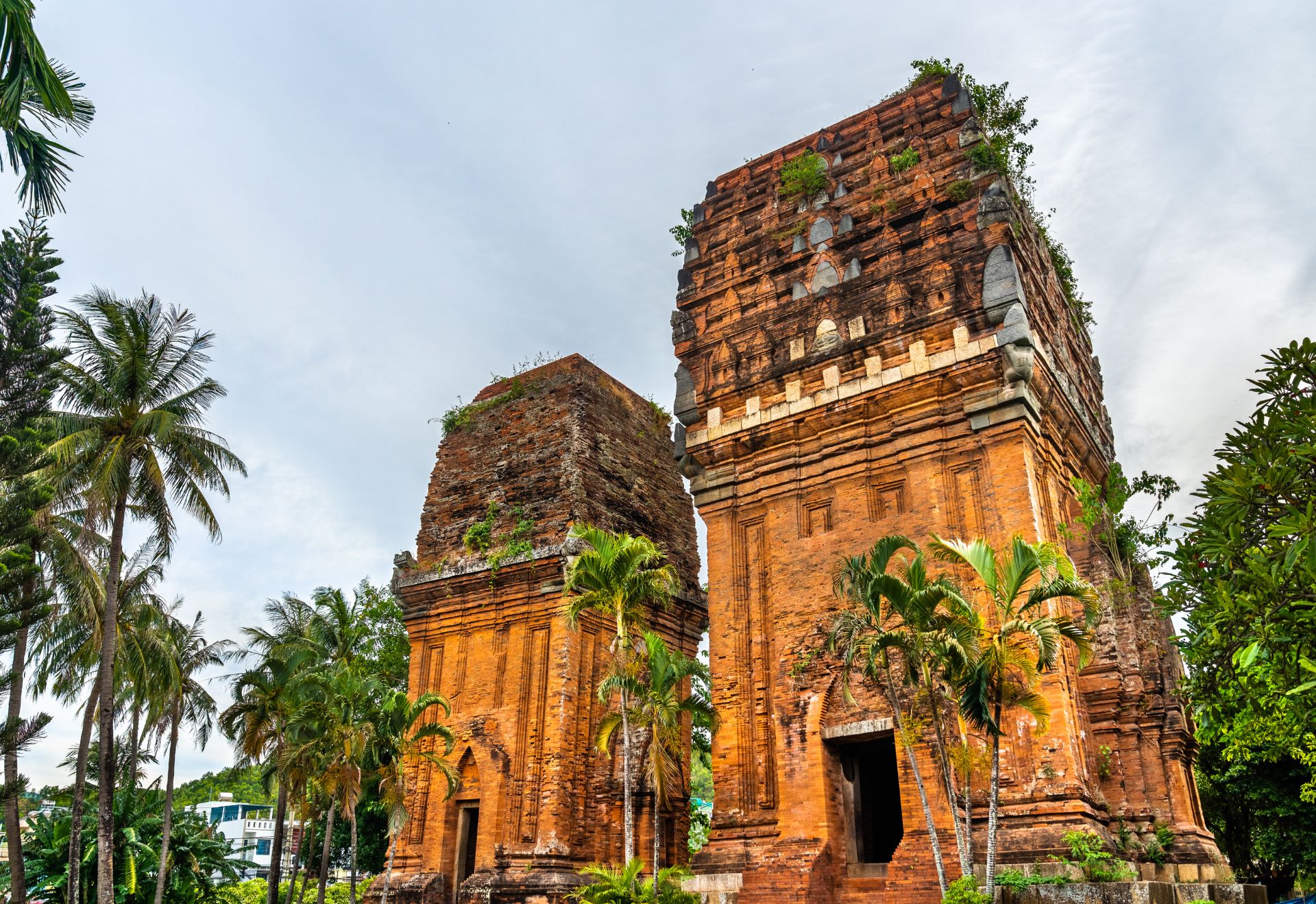 Quy Nhơn thuộc top 5 điểm đến thịnh hành trong năm 2026 - 4