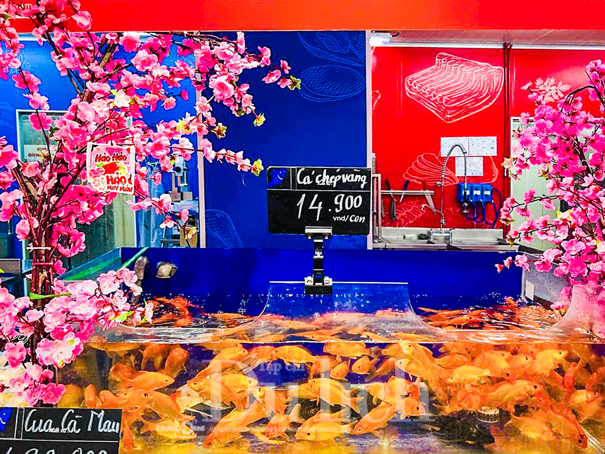 Hành trình ‘về chầu Ngọc Hoàng’ của Thần bếp: Chợ truyền thống trầm lắng, người dân ‘thắt lưng buộc bụng’ - 10