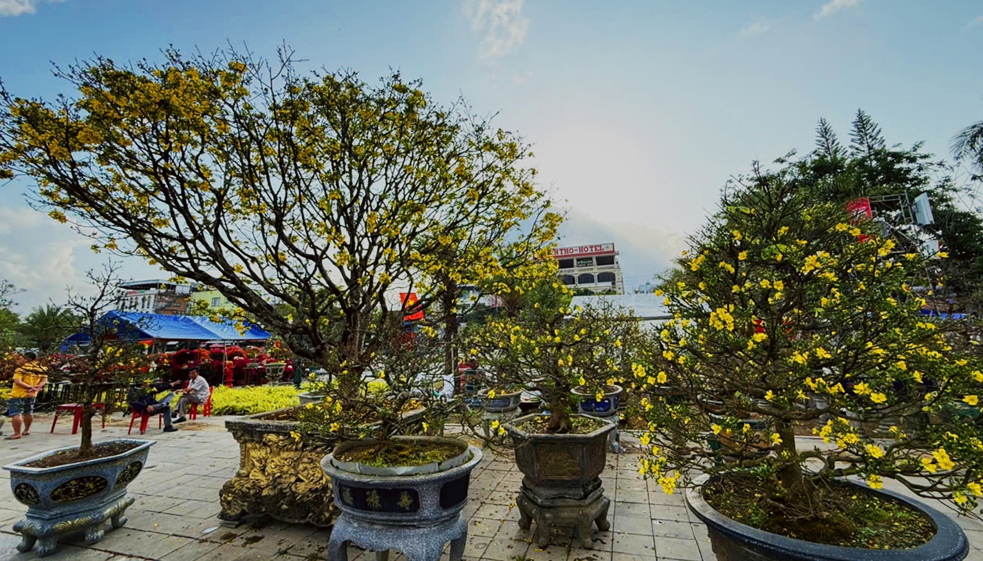 mai, dao co thu hut khach o hoi hoa xuan binh ngo 2026 o quang ngai - 3