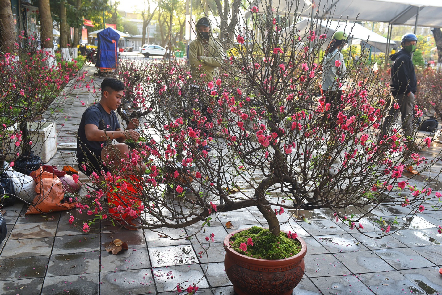 mai, dao co thu hut khach o hoi hoa xuan binh ngo 2026 o quang ngai - 11