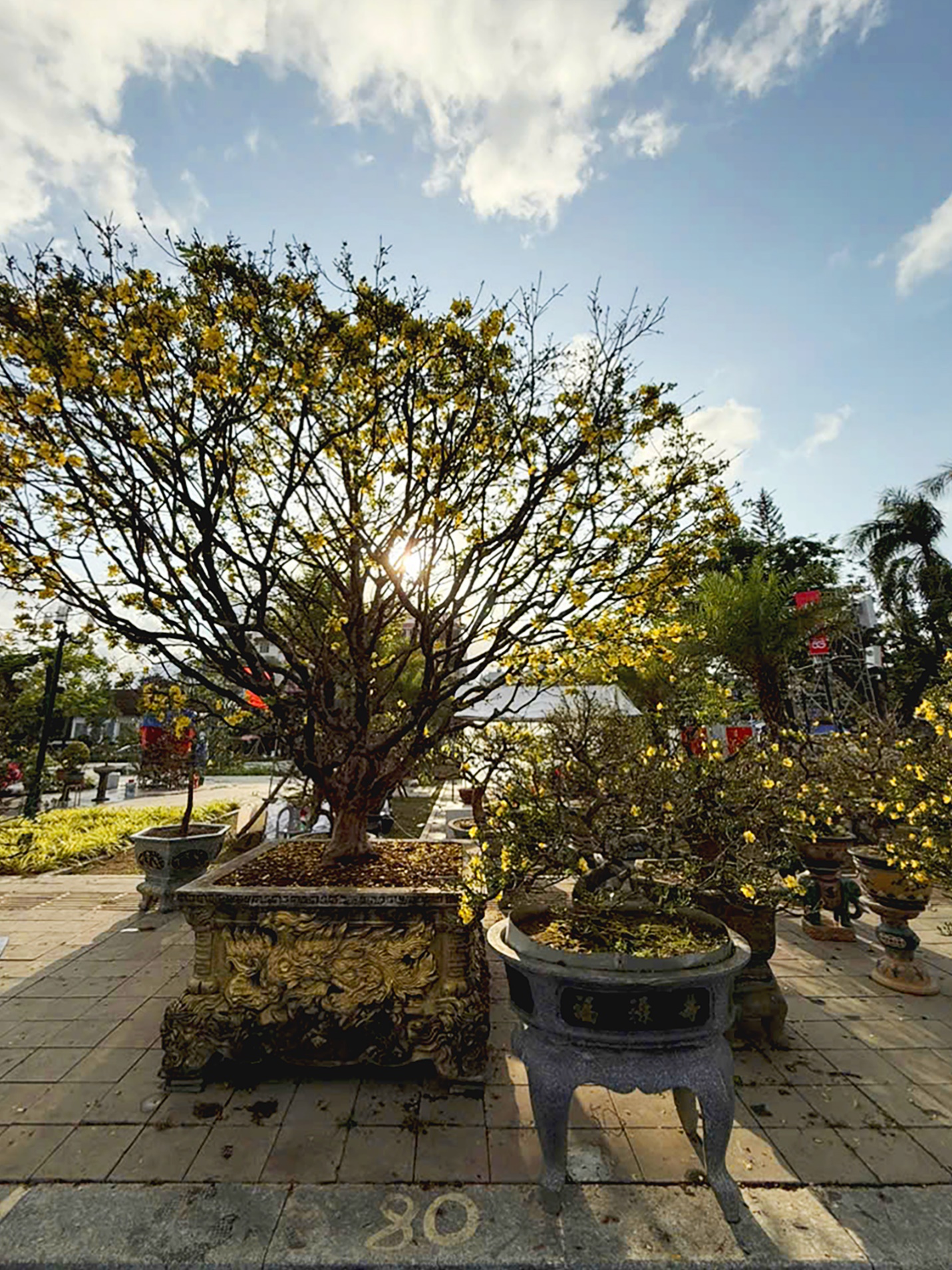 mai, dao co thu hut khach o hoi hoa xuan binh ngo 2026 o quang ngai - 5