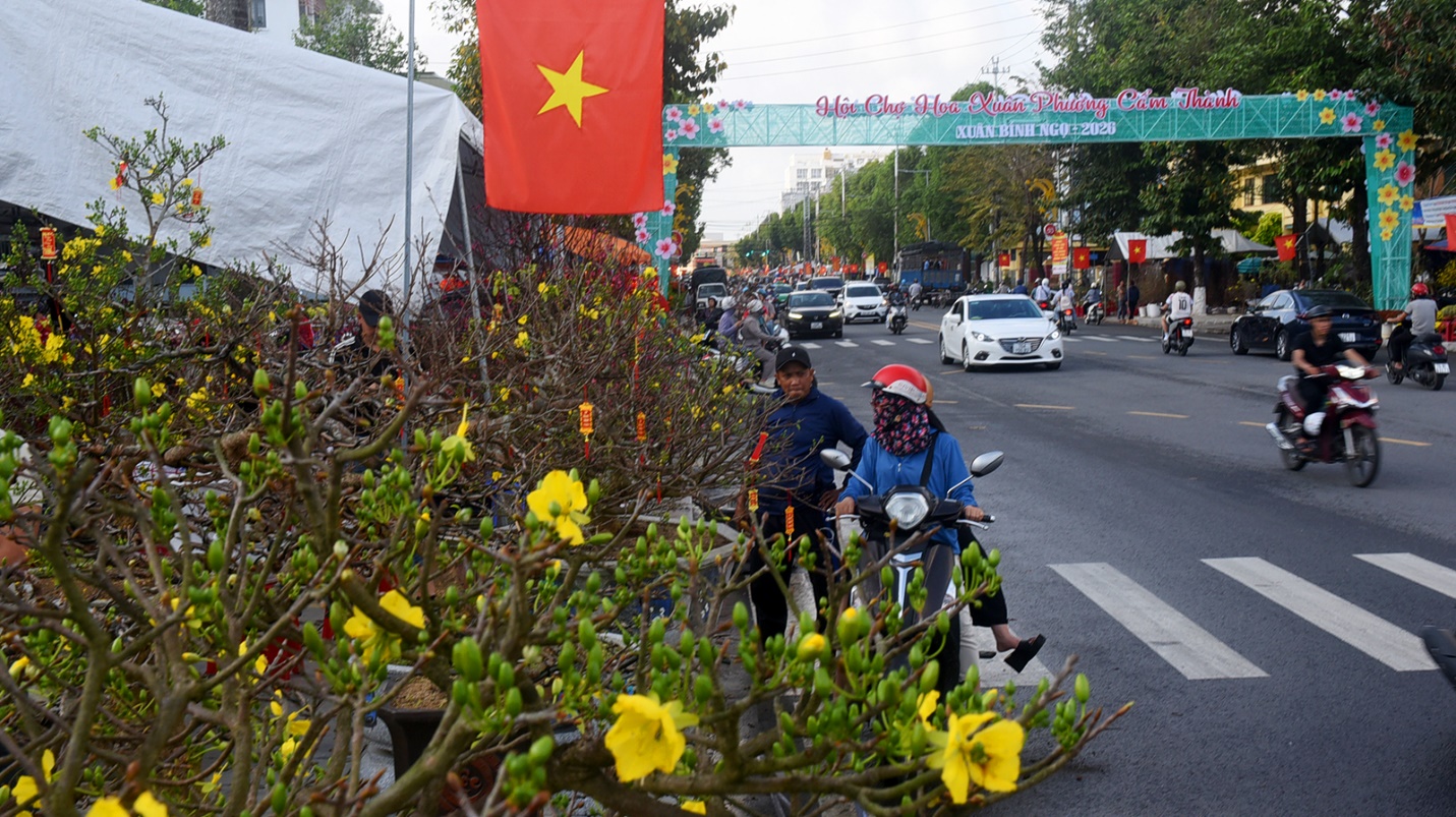 mai, dao co thu hut khach o hoi hoa xuan binh ngo 2026 o quang ngai - 14