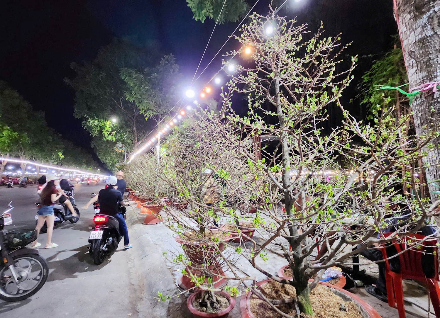 Cần Thơ khai mạc chợ hoa trong khu đô thị 5A - 2