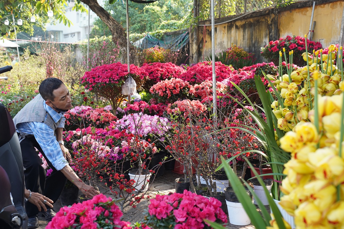 hoa kieng ruc sac xuong pho, nhip tet ron rang khap tp.hcm - 13