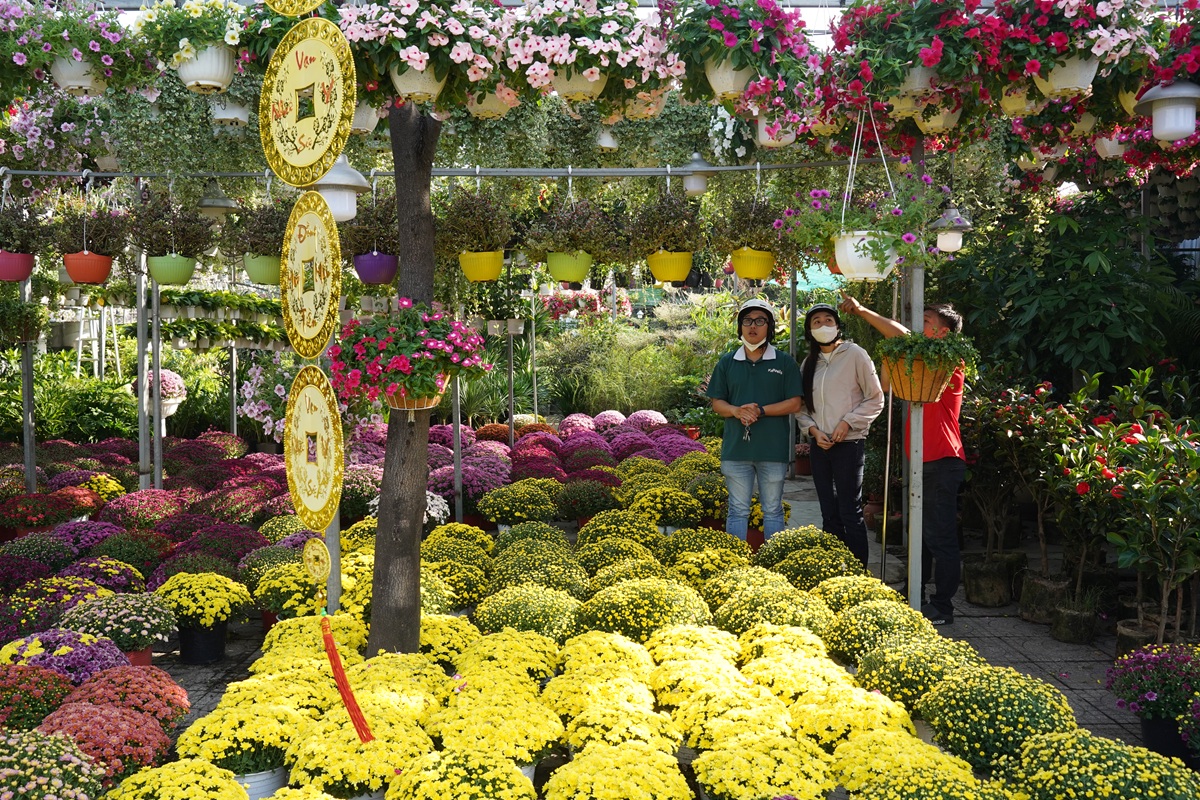 hoa kieng ruc sac xuong pho, nhip tet ron rang khap tp.hcm - 8