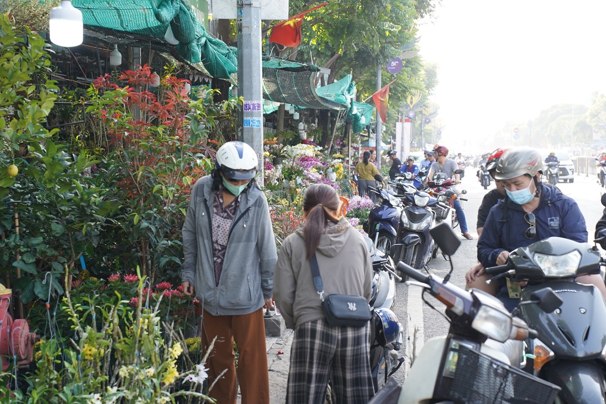 hoa kieng ruc sac xuong pho, nhip tet ron rang khap tp.hcm - 9