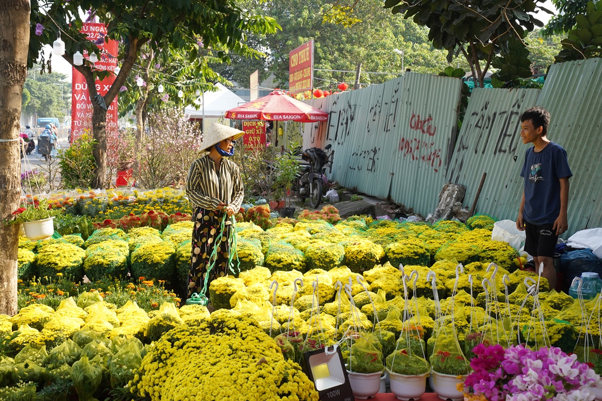 hoa kieng ruc sac xuong pho, nhip tet ron rang khap tp.hcm - 14