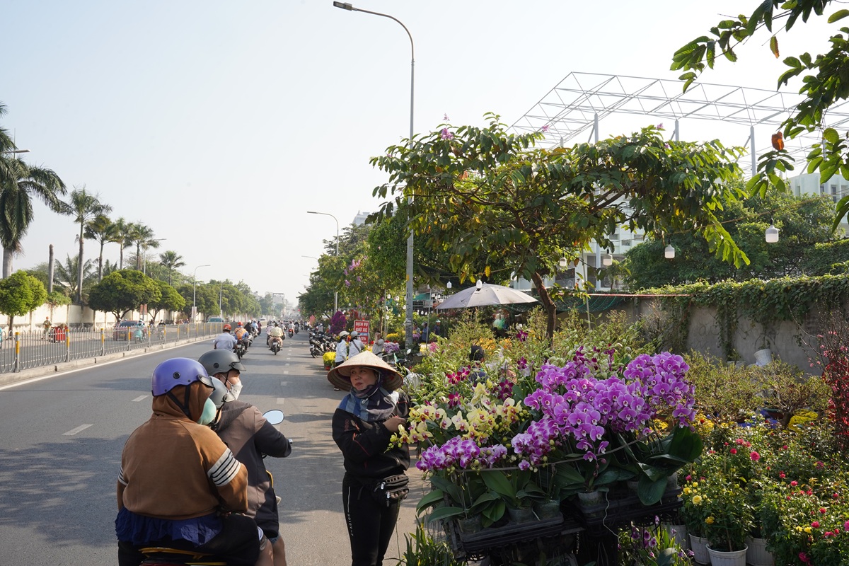 hoa kieng ruc sac xuong pho, nhip tet ron rang khap tp.hcm - 12