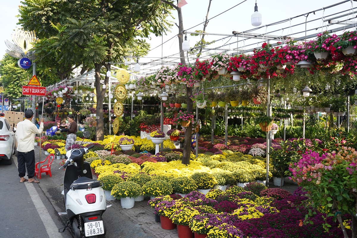 hoa kieng ruc sac xuong pho, nhip tet ron rang khap tp.hcm - 6