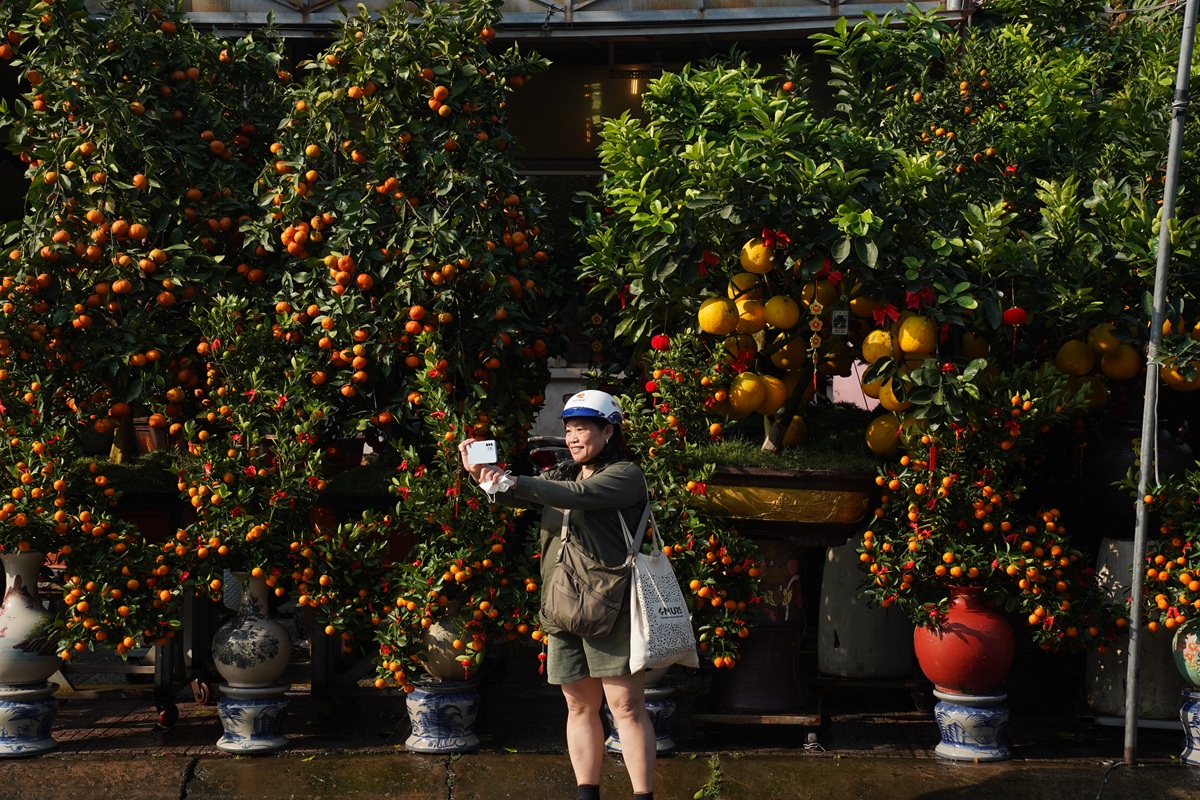 hoa kieng ruc sac xuong pho, nhip tet ron rang khap tp.hcm - 5