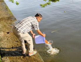 Sự kiện đặc sắc - Tiễn ông Công ông Táo ở TP.HCM: Phóng sinh văn minh hơn