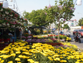  - Hoa kiểng rực sắc xuống phố, nhịp Tết rộn ràng khắp TP.HCM