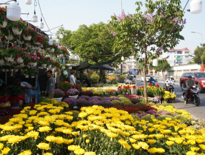  - Hoa kiểng rực sắc xuống phố, nhịp Tết rộn ràng khắp TP.HCM