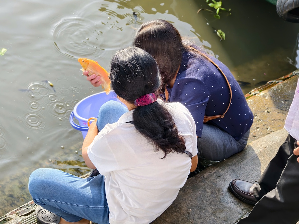 Tiễn ông Công ông Táo ở TP.HCM: Phóng sinh văn minh hơn - 2