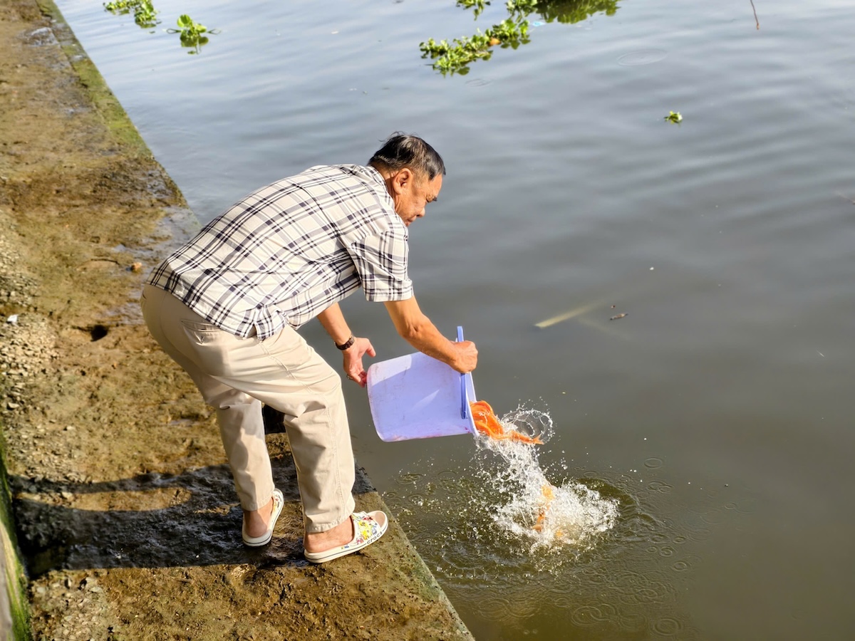 Tiễn ông Công ông Táo ở TP.HCM: Phóng sinh văn minh hơn - 5
