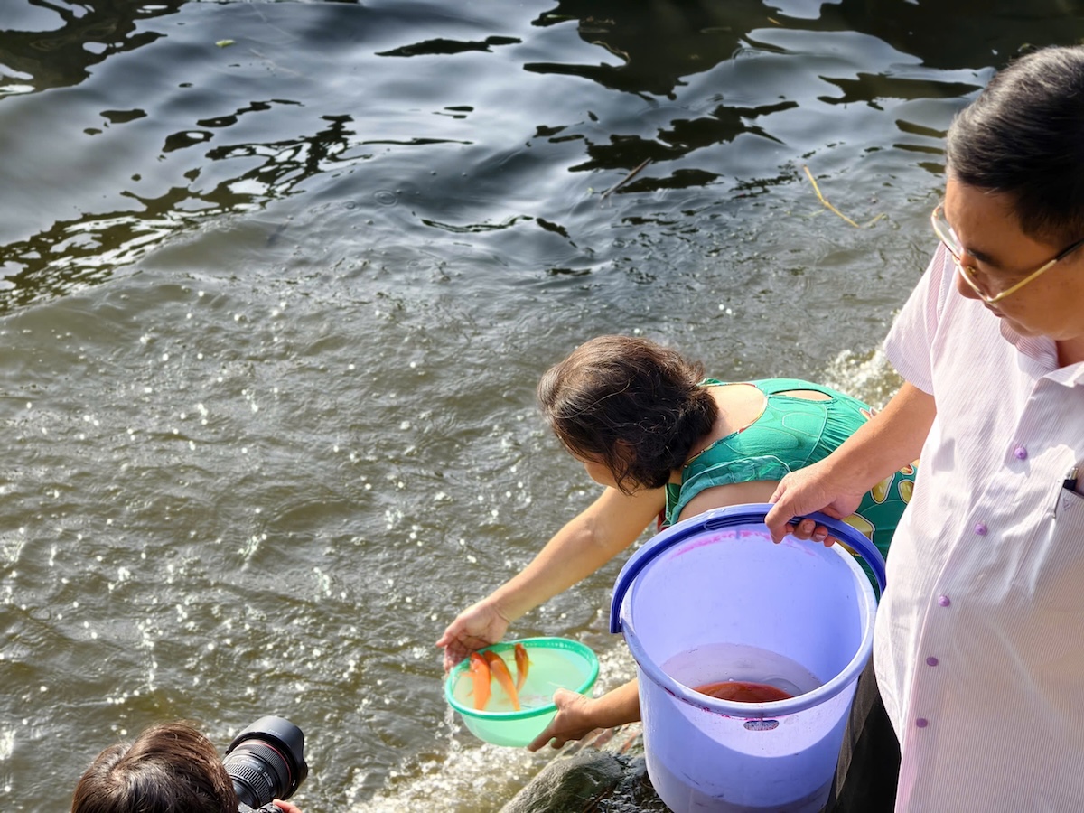 Tiễn ông Công ông Táo ở TP.HCM: Phóng sinh văn minh hơn - 4