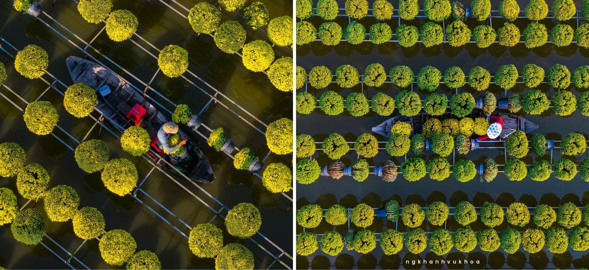 lang hoa sa dec: tu vuon xua khep kin den di san van hoa quoc gia - 3