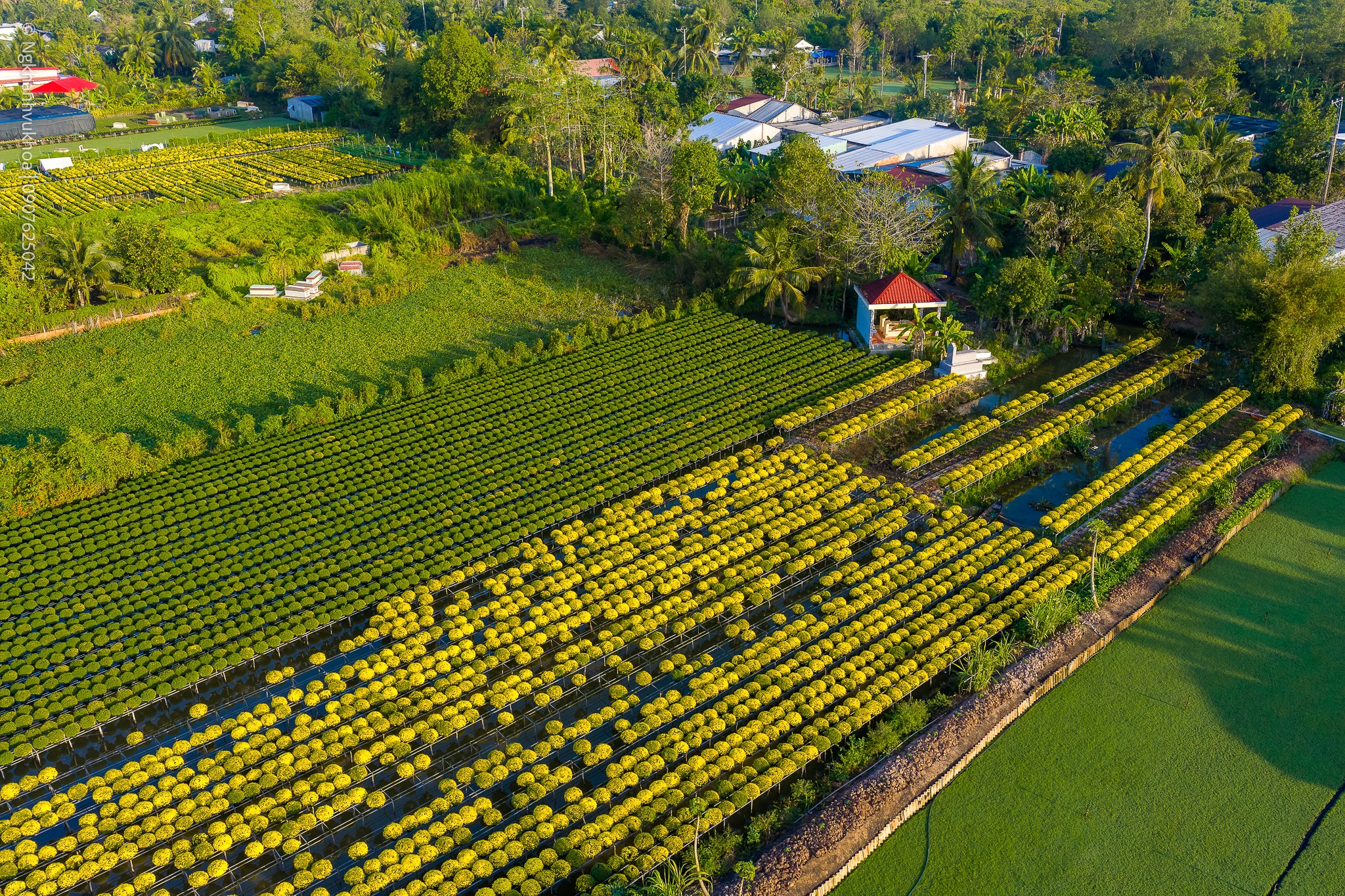 lang hoa sa dec: tu vuon xua khep kin den di san van hoa quoc gia - 4