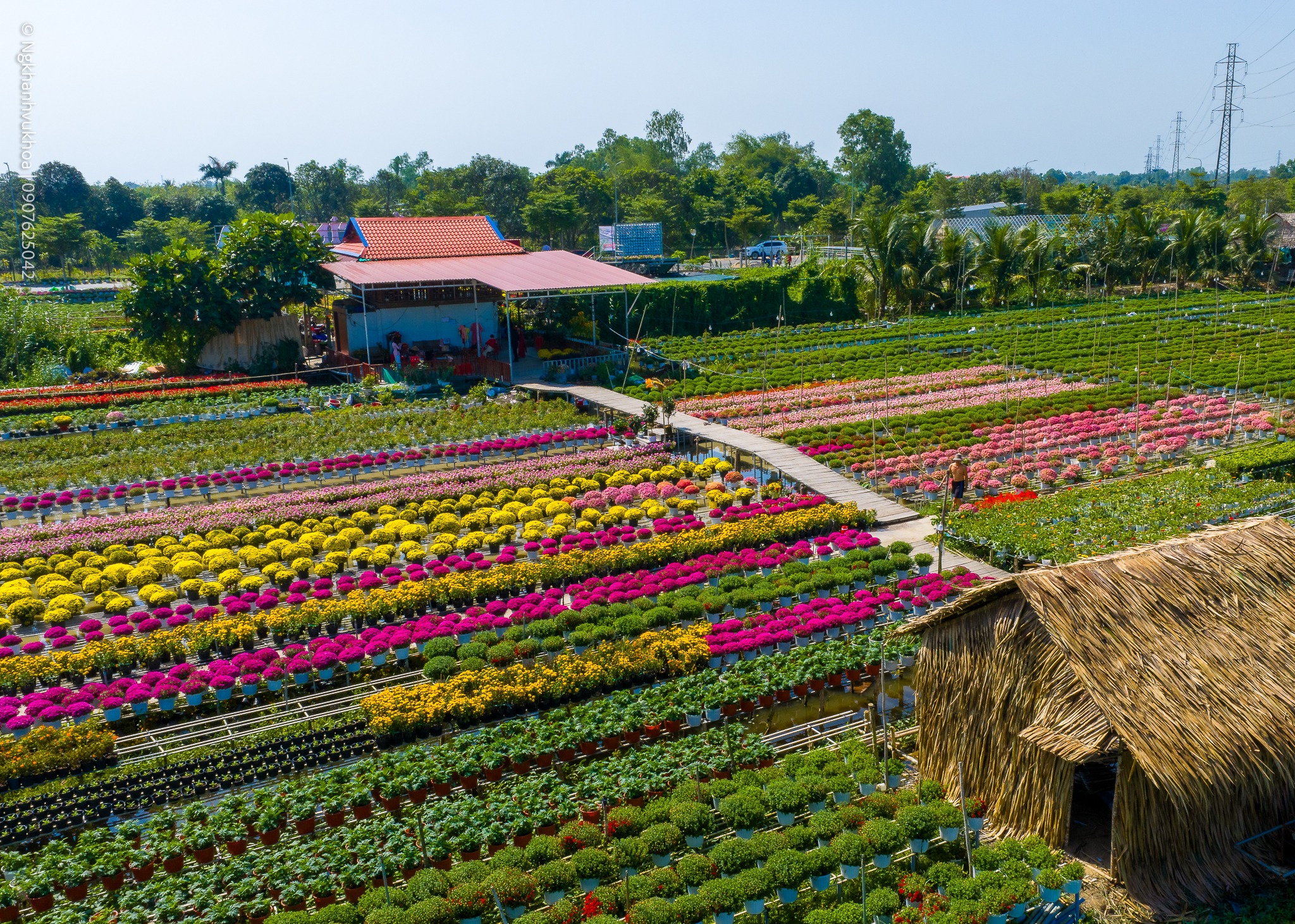 lang hoa sa dec: tu vuon xua khep kin den di san van hoa quoc gia - 6