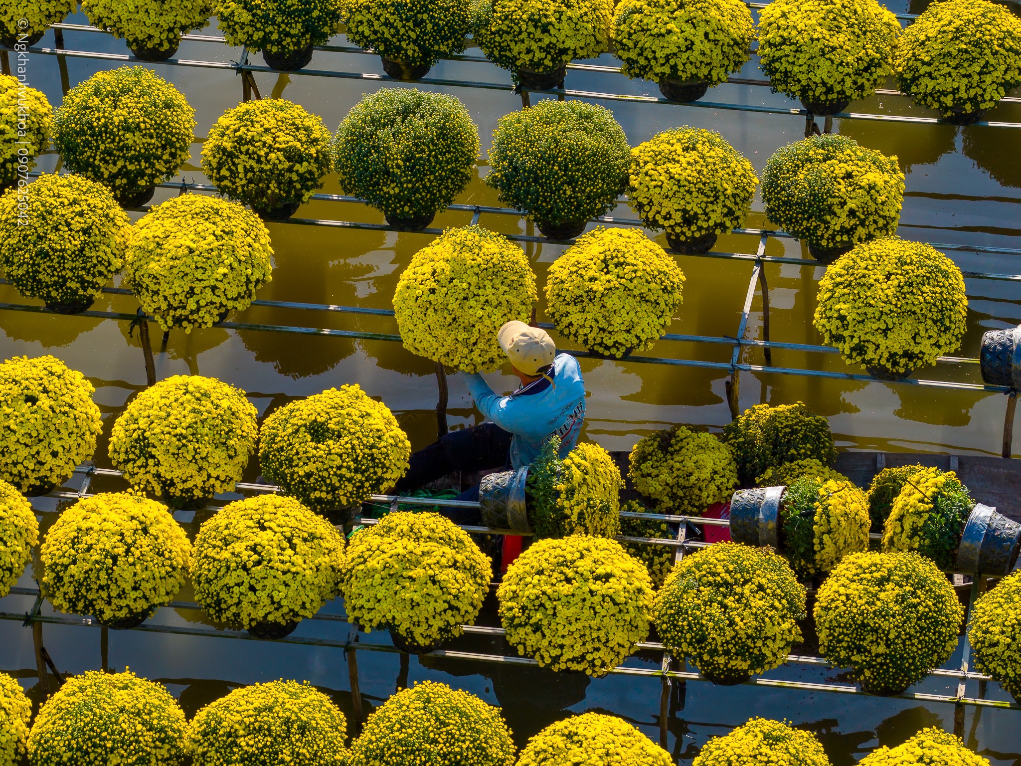 lang hoa sa dec: tu vuon xua khep kin den di san van hoa quoc gia - 8